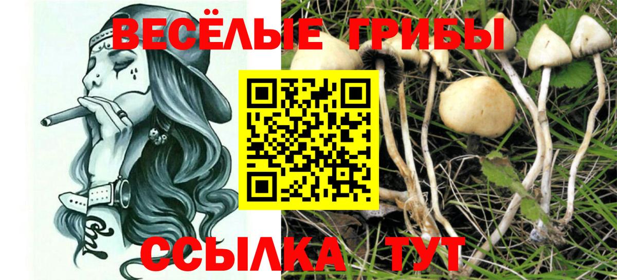 Псилоцибиновые грибы мицелий  Псилоцибиновые грибы ЛСД  Корсаков  Вход с VPN 