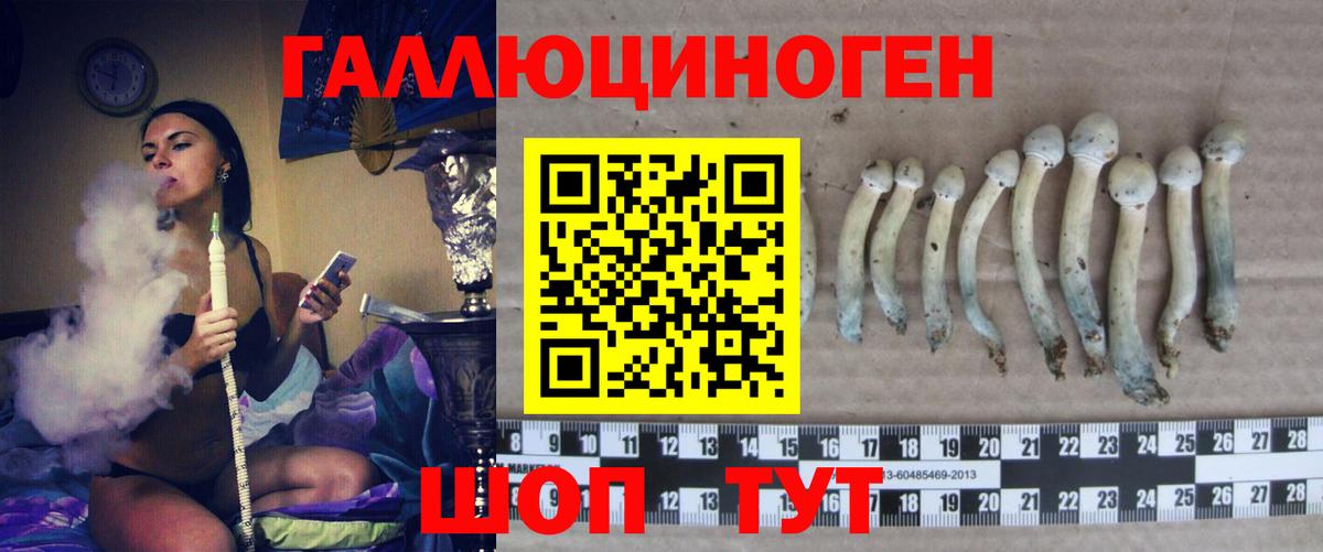 Псилоцибиновые грибы мицелий Корсаков